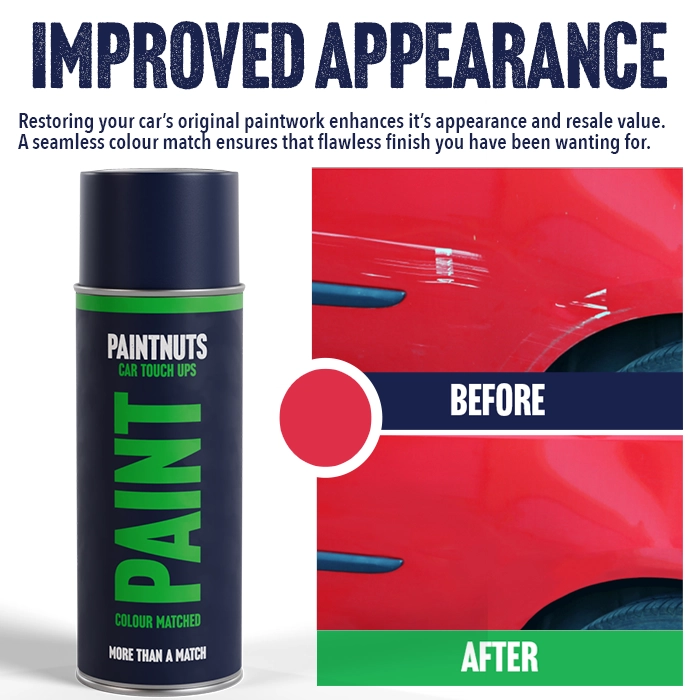 PaintNuts Colour Matched Touch Up Aerosol & Grey Primer Bundle